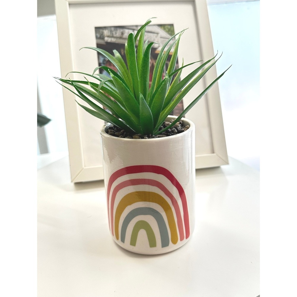 70s Boho Rainbow‎ Pot with Succulent – Colorful Retro Shelf Decor